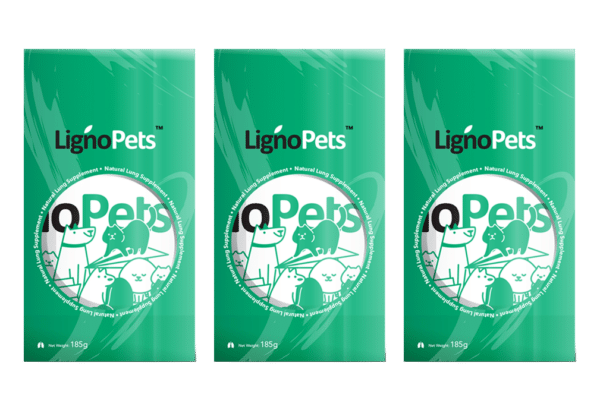 Variation Featured Image